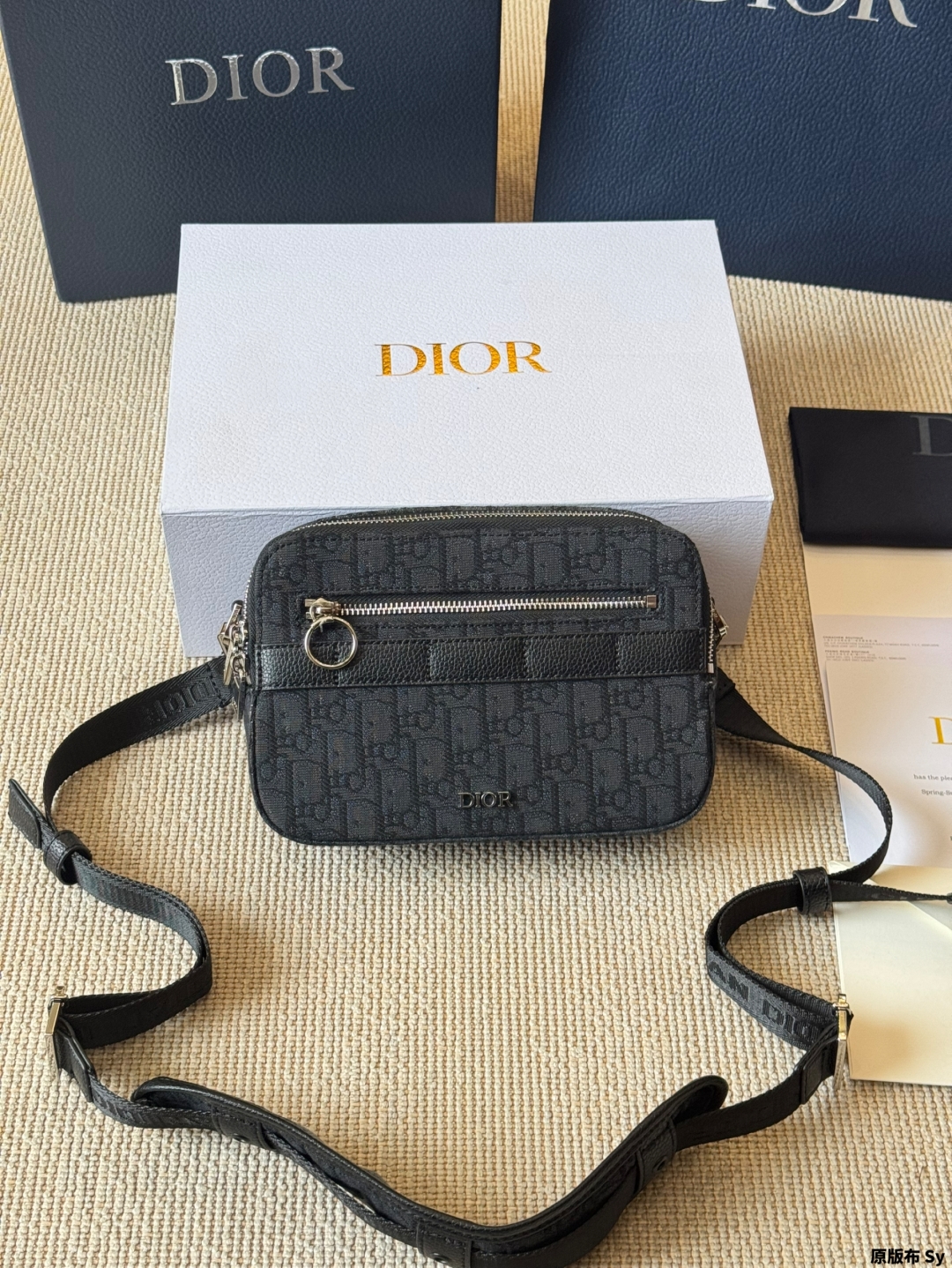 DIOR bag 246